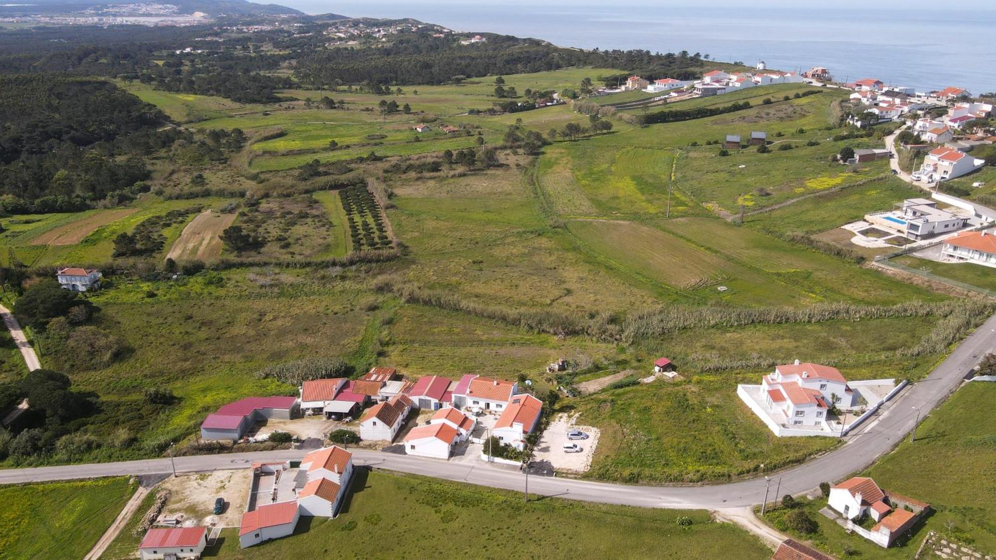 Casas Com Amoras In Serra Da Pescaria Famalicão Eksteriør billede
